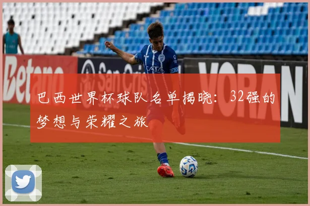 巴西世界杯球队名单揭晓:32强的梦想与荣耀之旅