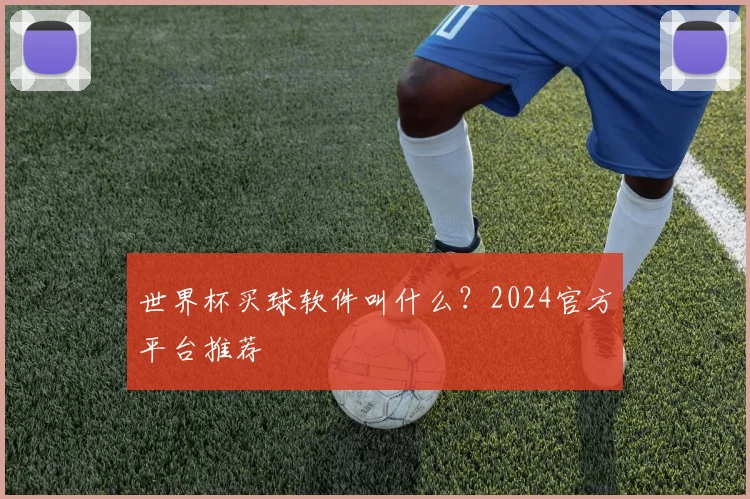 世界杯买球软件叫什么？2024官方平台推荐