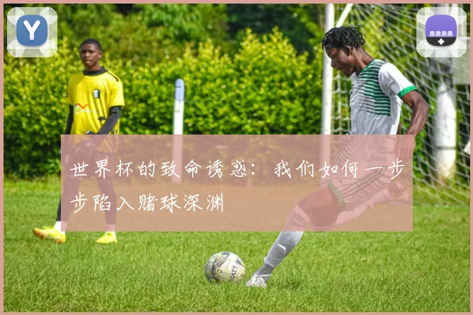 世界杯的致命诱惑:我们如何一步步陷入赌球深渊