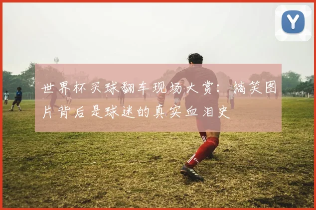 世界杯买球翻车现场大赏:搞笑图片背后是球迷的真实血泪史