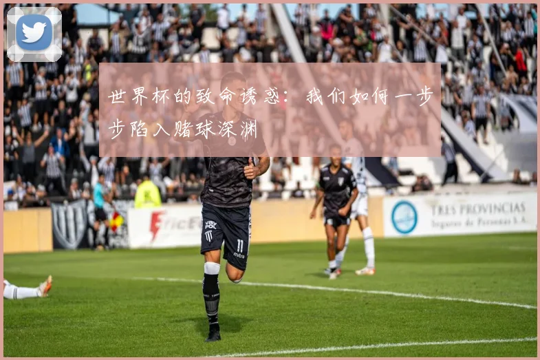 世界杯的致命诱惑:我们如何一步步陷入赌球深渊
