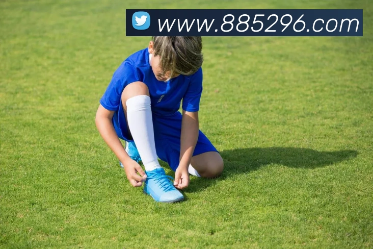 九游j9网页版平台生态图